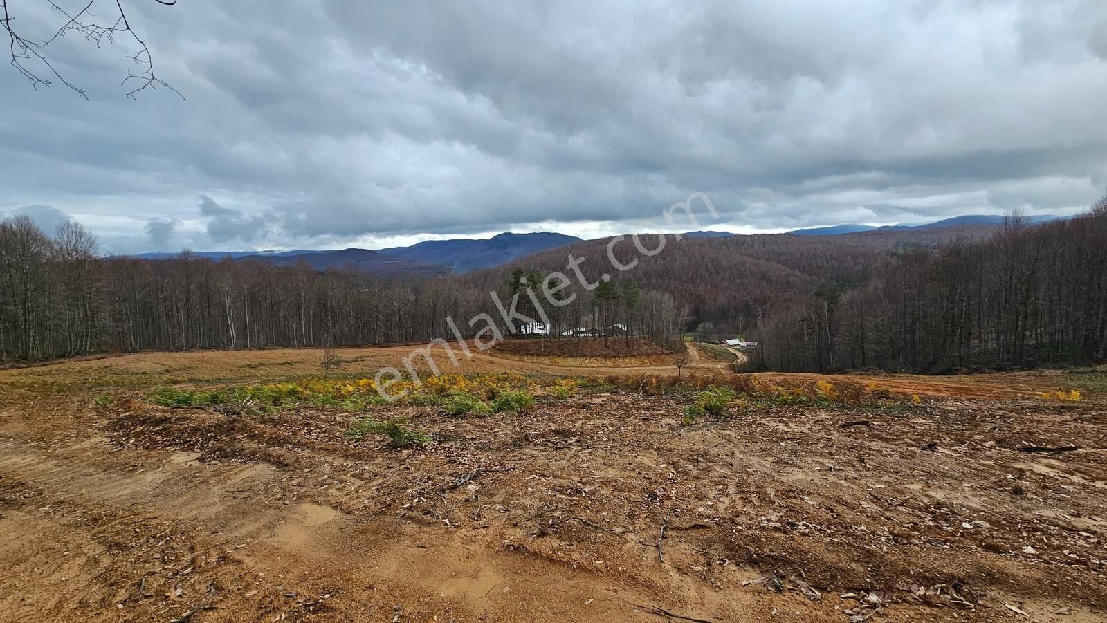 İznik Kutluca'da / 906 M² Villalık Arsa /doğa Manzaralı - Görsel 2