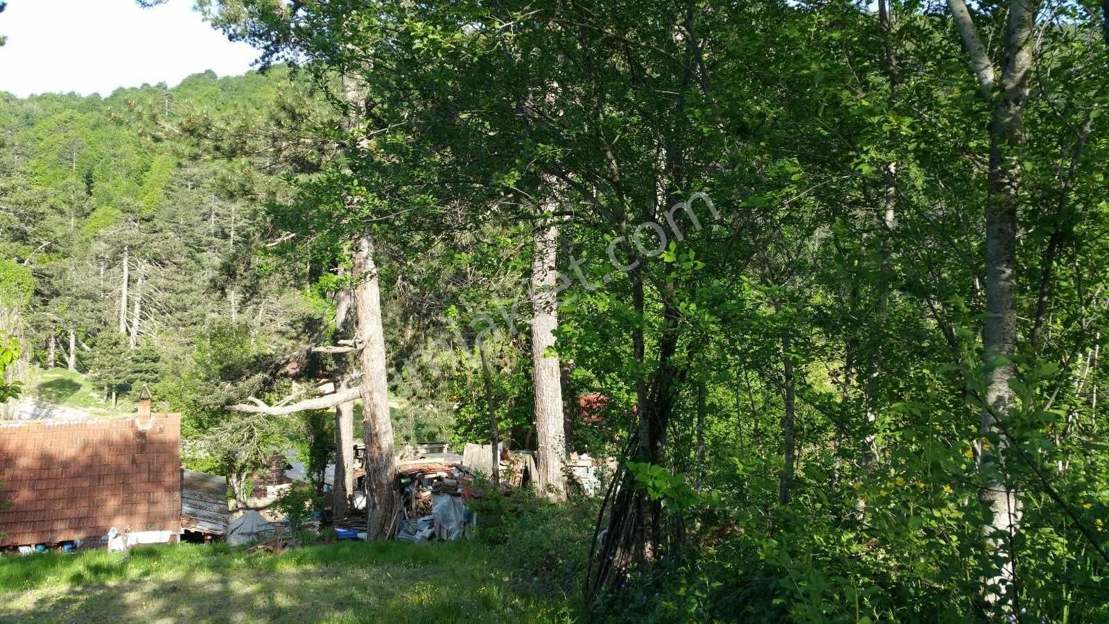 Ulucan'dan İnegöl Boğazova'da Satılık Fırsa Arsa - Görsel 3