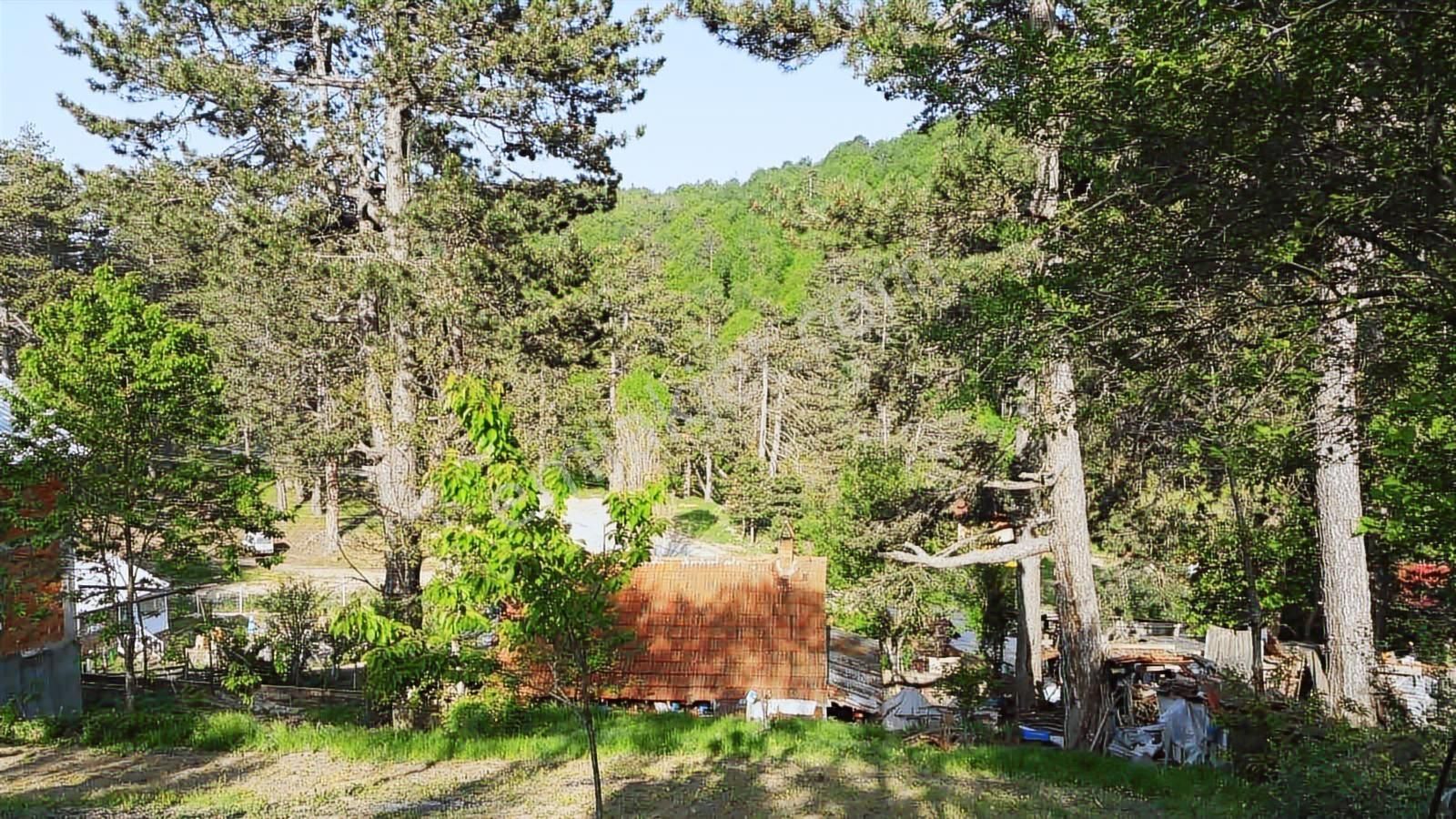 Ulucan'dan İnegöl Boğazova'da Satılık Fırsa Arsa - Görsel 5