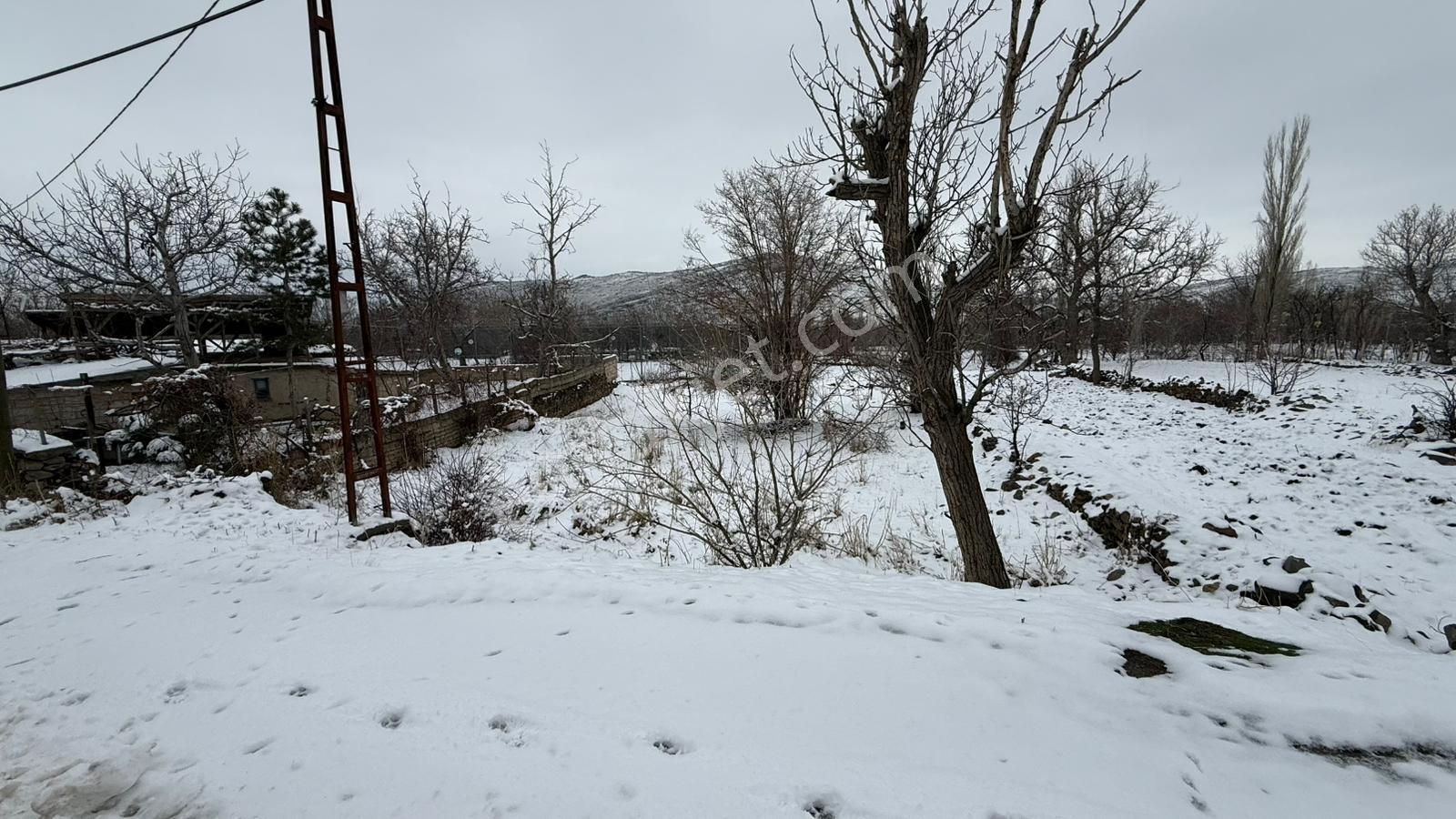 Öz Gaye Emlaktan Develi Zile Köyönü Mevkiinde Satılık Hobi Bahçesi Yeri - Görsel 3