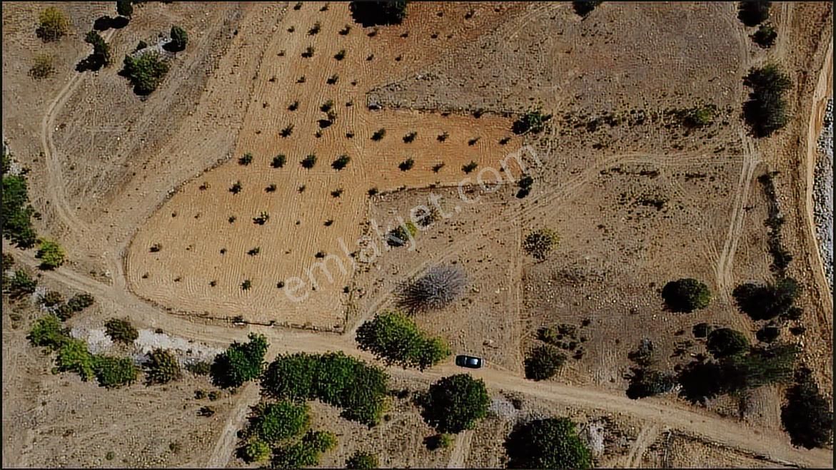 Bursa Keles Kıranışıklarda Yolu Olan 2 Adet Satılık Tarla - Görsel 8
