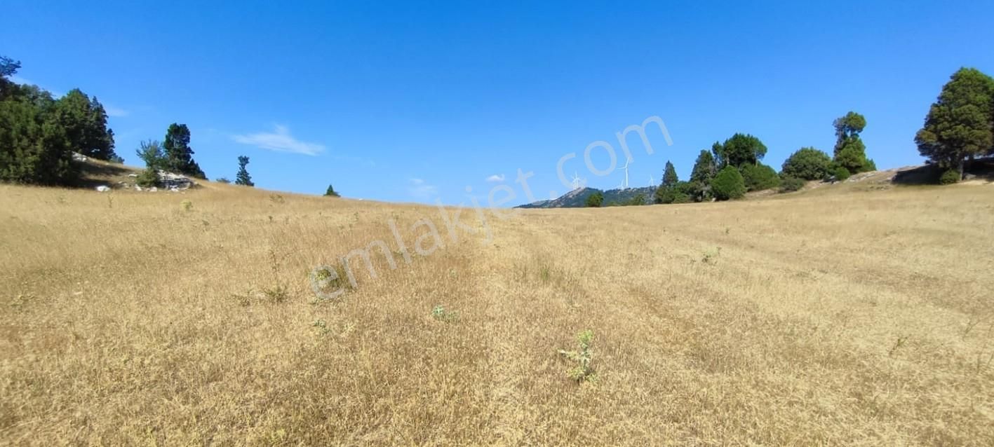 Bursa Keles Sorgun Köyünde 1760 M² Satılık Tarla - Görsel 15