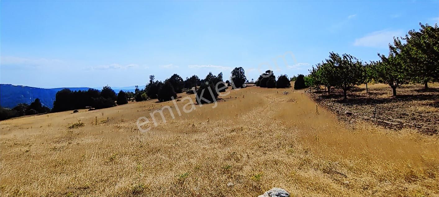 Bursa Keles Sorgun Köyünde 1760 M² Satılık Tarla - Görsel 14