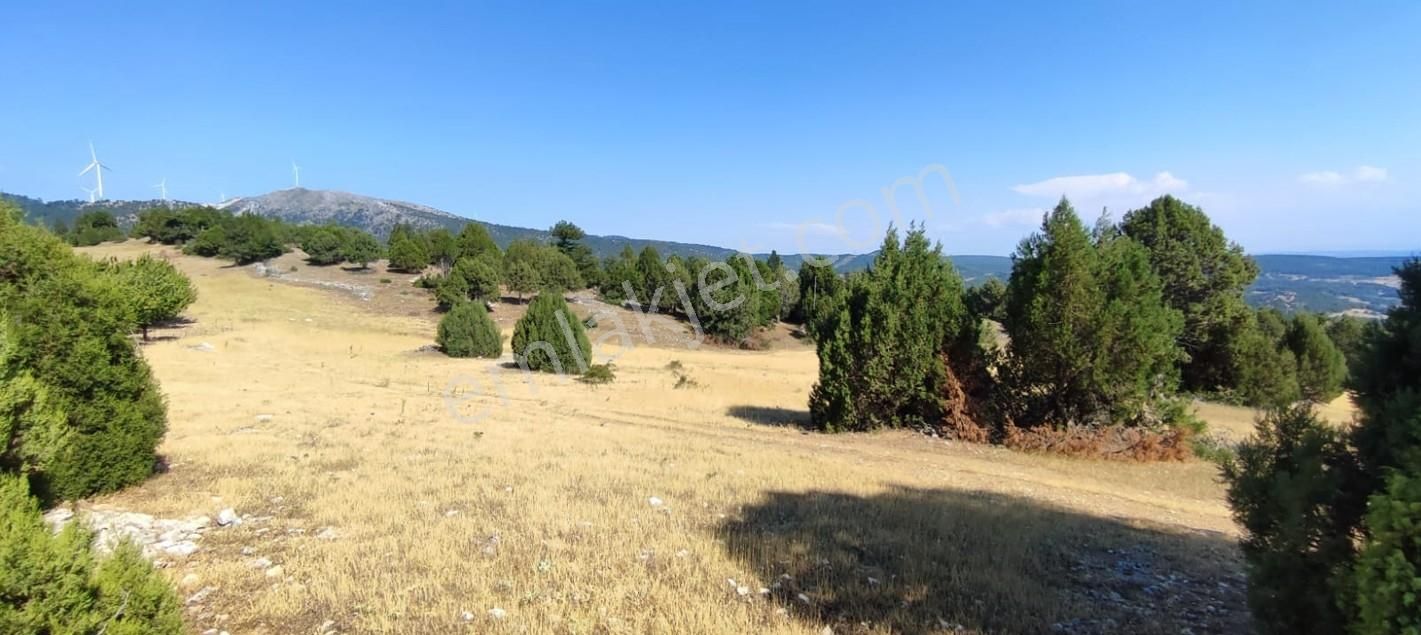 Bursa Keles Sorgun Köyünde 1760 M² Satılık Tarla - Görsel 9