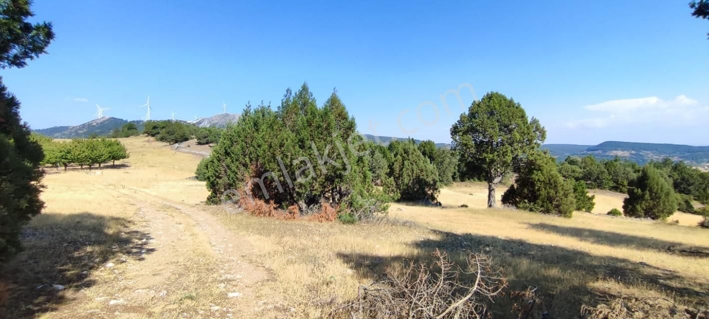 Bursa Keles Sorgun Köyünde 1760 M² Satılık Tarla - Görsel 16