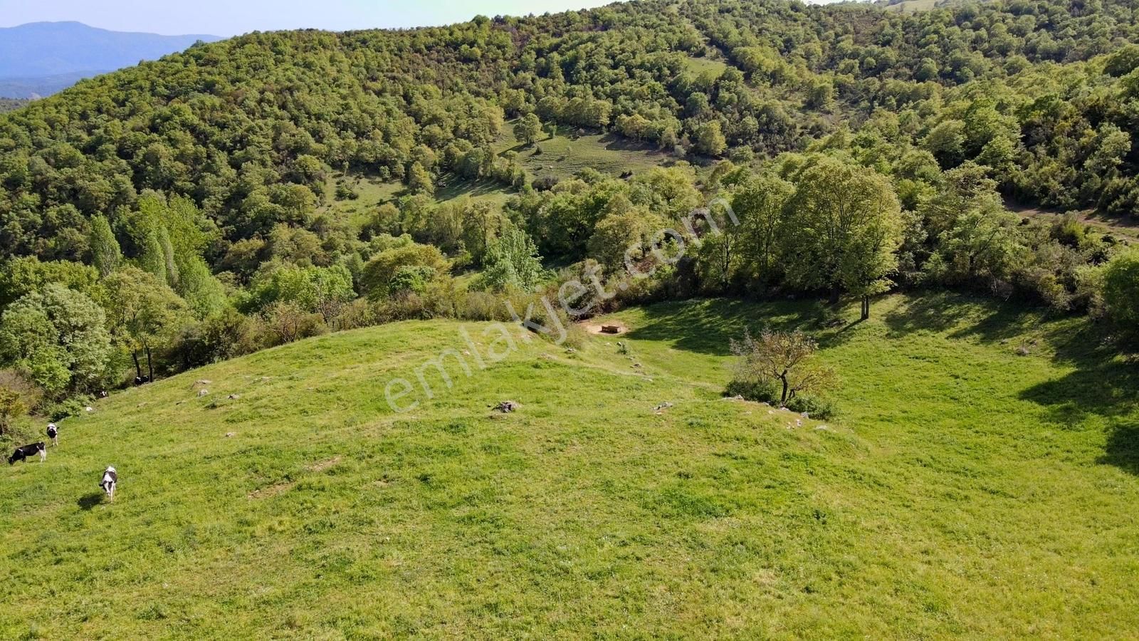Yenice Yukarıkaraaşık Köyünde 350 M² İmarlı İyi Konumda Arsa - Görsel 9