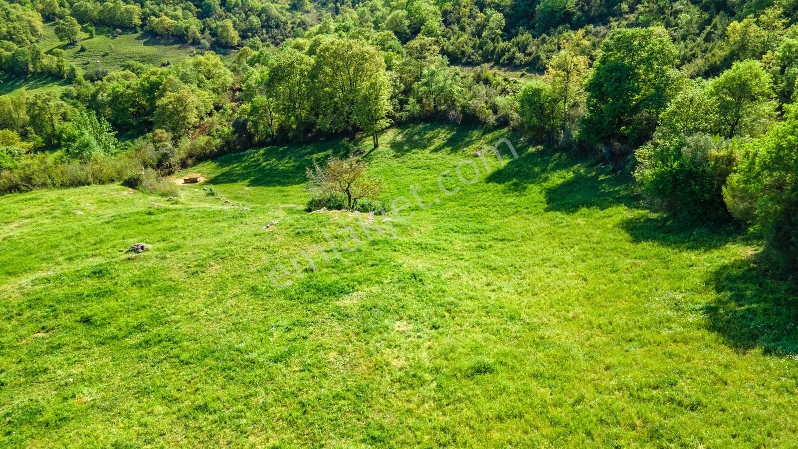 Yenice Yukarıkaraaşık Köyünde 350 M² İmarlı İyi Konumda Arsa - Görsel 30