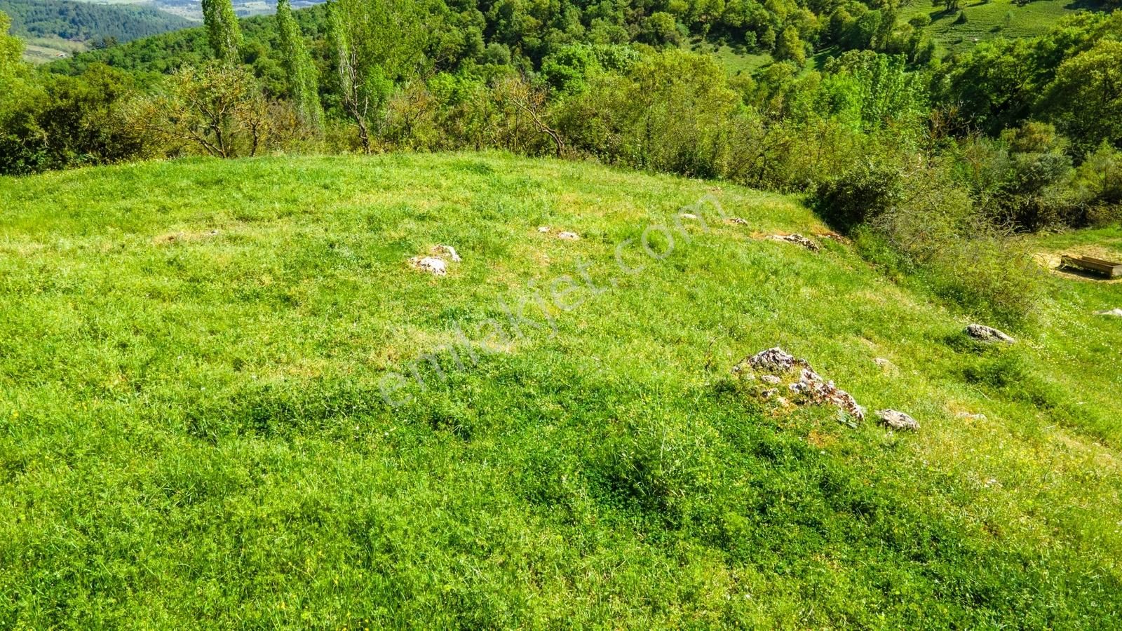 Yenice Yukarıkaraaşık Köyünde 350 M² İmarlı İyi Konumda Arsa - Görsel 5