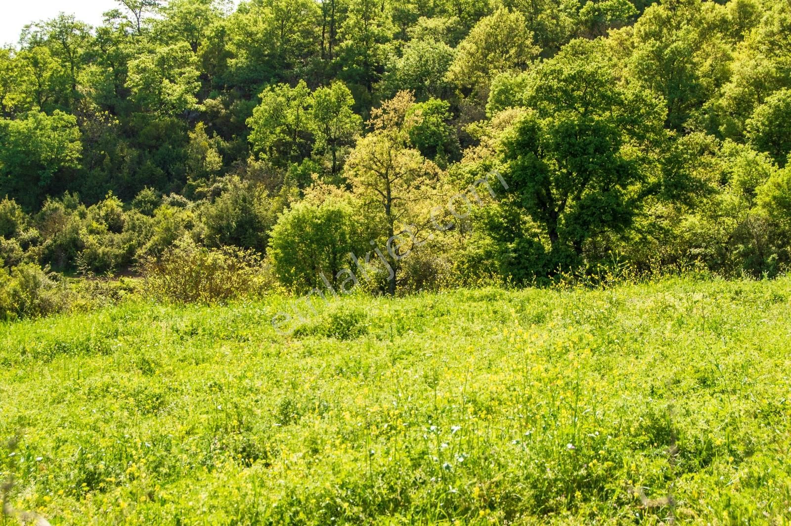Yenice Yukarıkaraaşık Köyünde 350 M² İmarlı İyi Konumda Arsa - Görsel 14