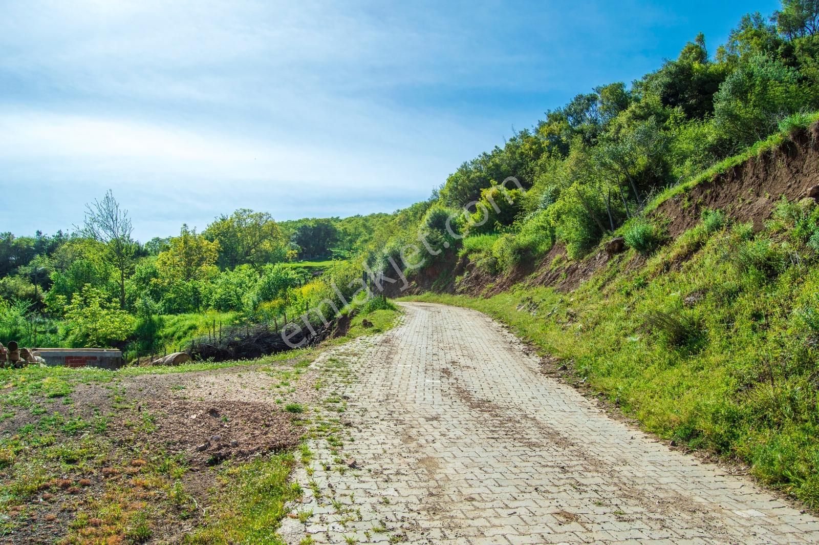 Yenice Yukarıkaraaşık Köyünde 350 M² İmarlı İyi Konumda Arsa - Görsel 18