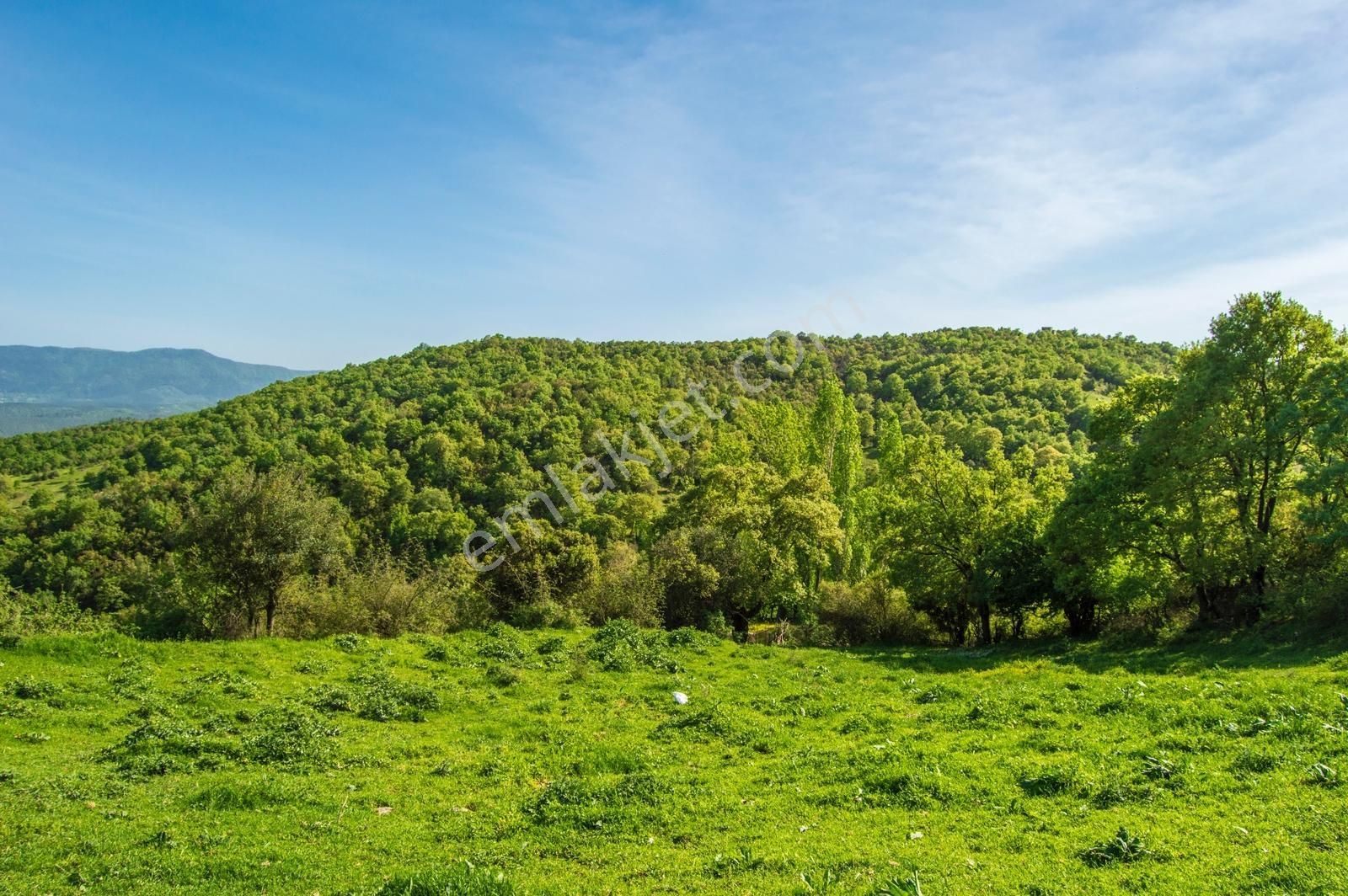 Yenice Yukarıkaraaşık Köyünde 350 M² İmarlı İyi Konumda Arsa - Görsel 23
