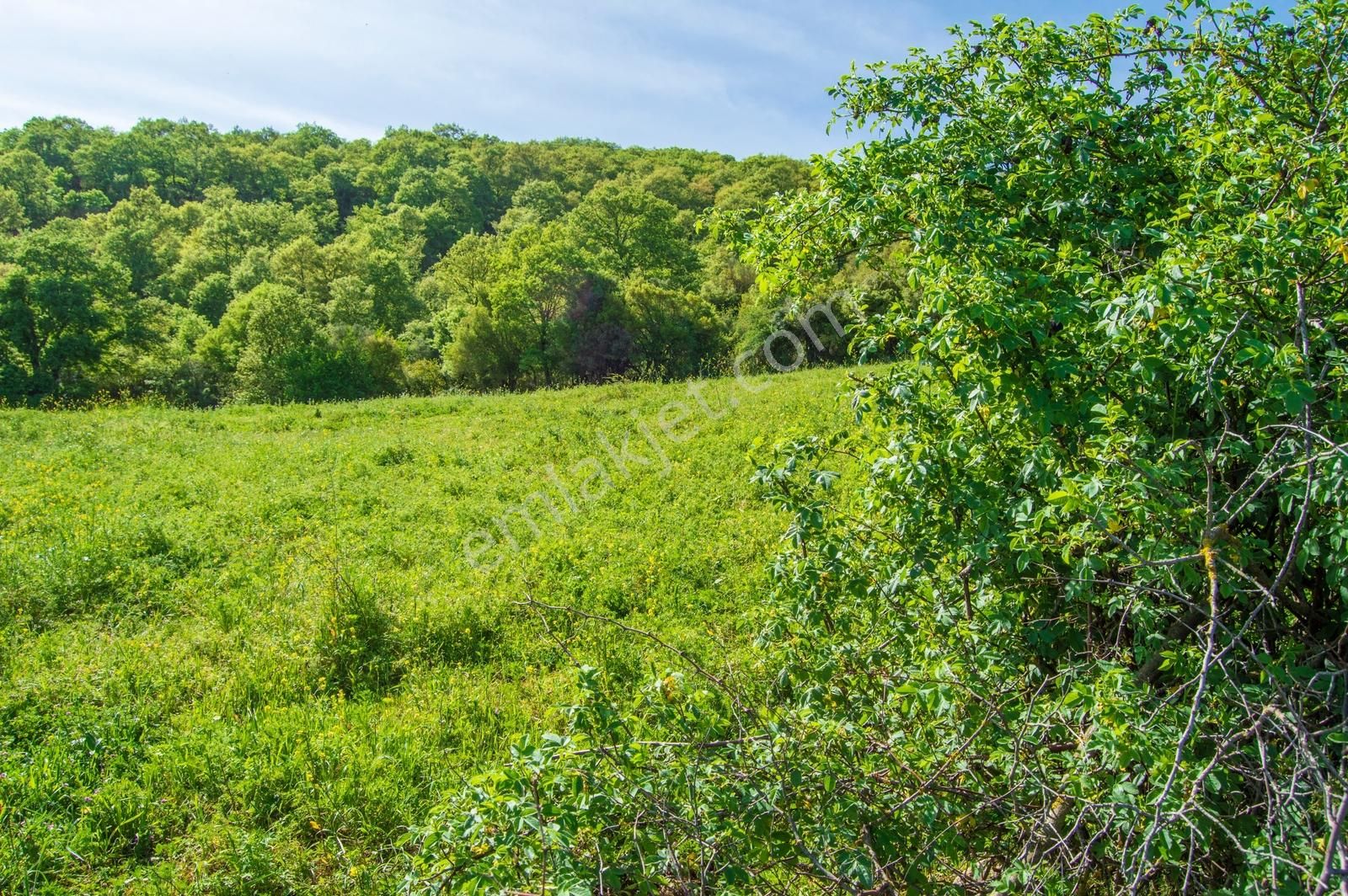 Yenice Yukarıkaraaşık Köyünde 350 M² İmarlı İyi Konumda Arsa - Görsel 24