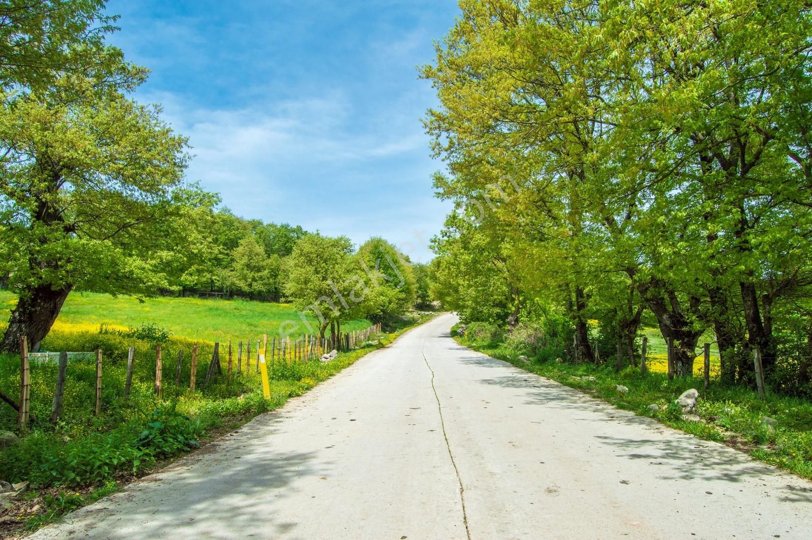 Yenice Yukarıkaraaşık Köyünde 350 M² İmarlı İyi Konumda Arsa - Görsel 8