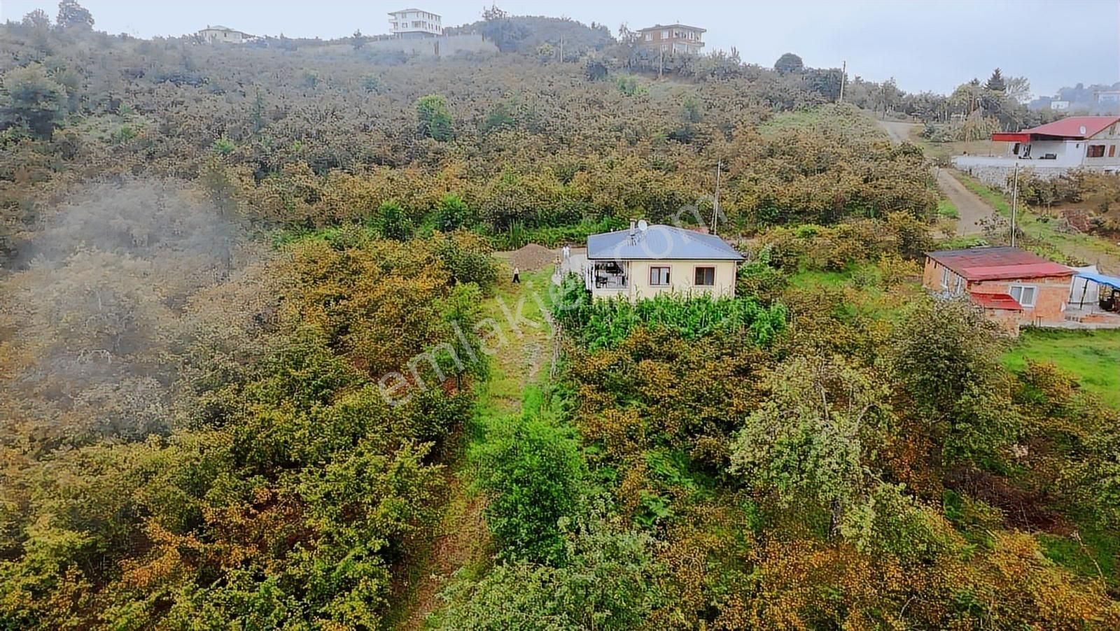 Arsin Yeşilyalı'da 2 Dönüm Arsa İçinde Satılık Müstakil Ev