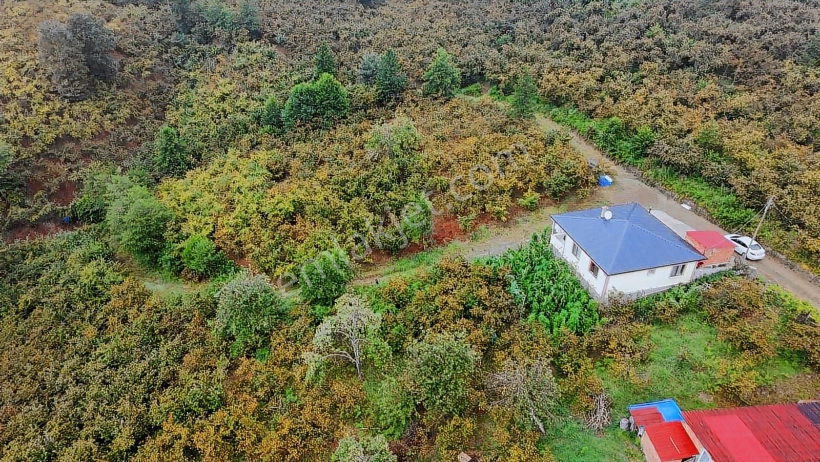 Arsin Yeşilyalı'da 2 Dönüm Arsa İçinde Satılık Müstakil Ev - Görsel 23