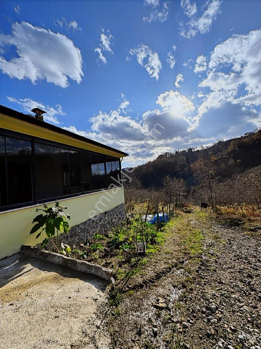 Arsin Yeşilyalı'da 2 Dönüm Arsa İçinde Satılık Müstakil Ev - Görsel 16