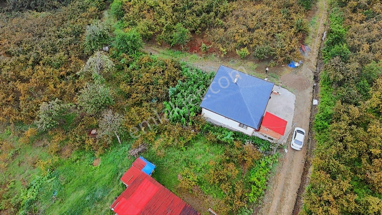 Arsin Yeşilyalı'da 2 Dönüm Arsa İçinde Satılık Müstakil Ev - Görsel 6