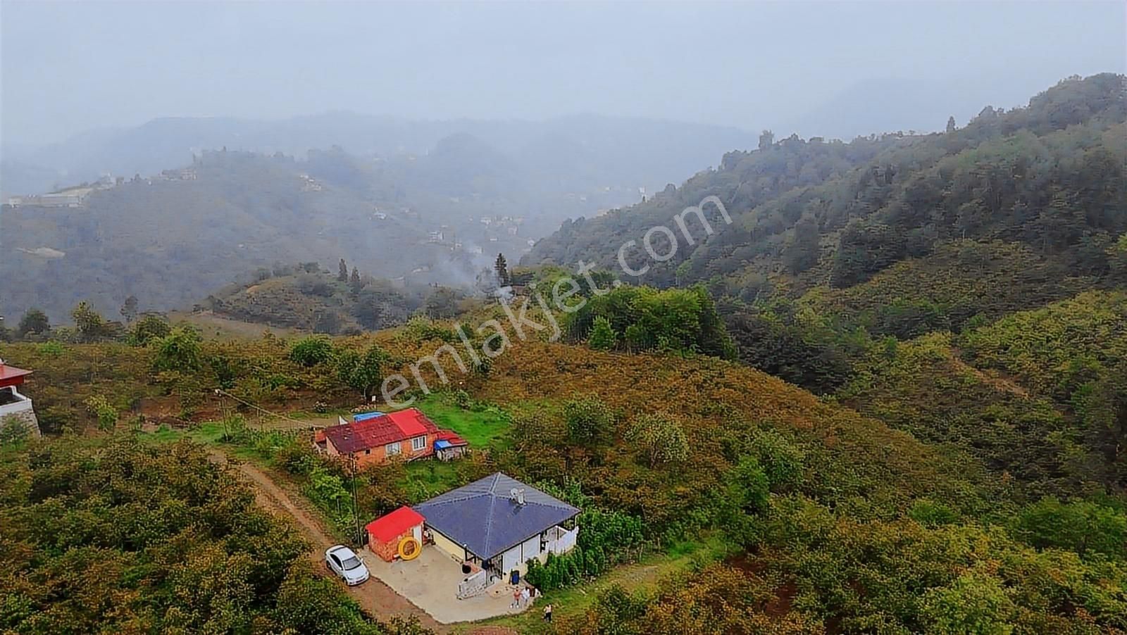 Arsin Yeşilyalı'da 2 Dönüm Arsa İçinde Satılık Müstakil Ev - Görsel 3