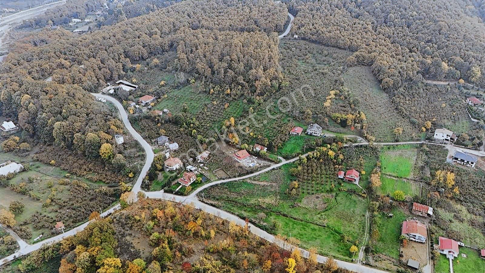 Ruşen Aydın Gyd'dan Düzce/kaledibi Köyünde Satılık Arsalar - Görsel 11