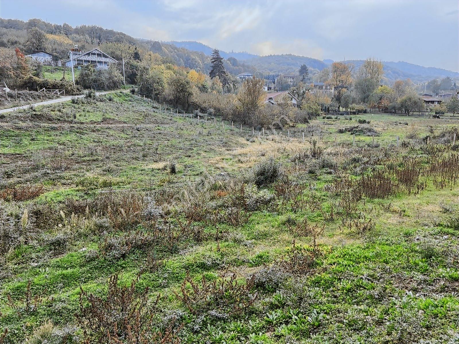 Ruşen Aydın Gyd'dan Düzce/kaledibi Köyünde Satılık Arsalar - Görsel 3