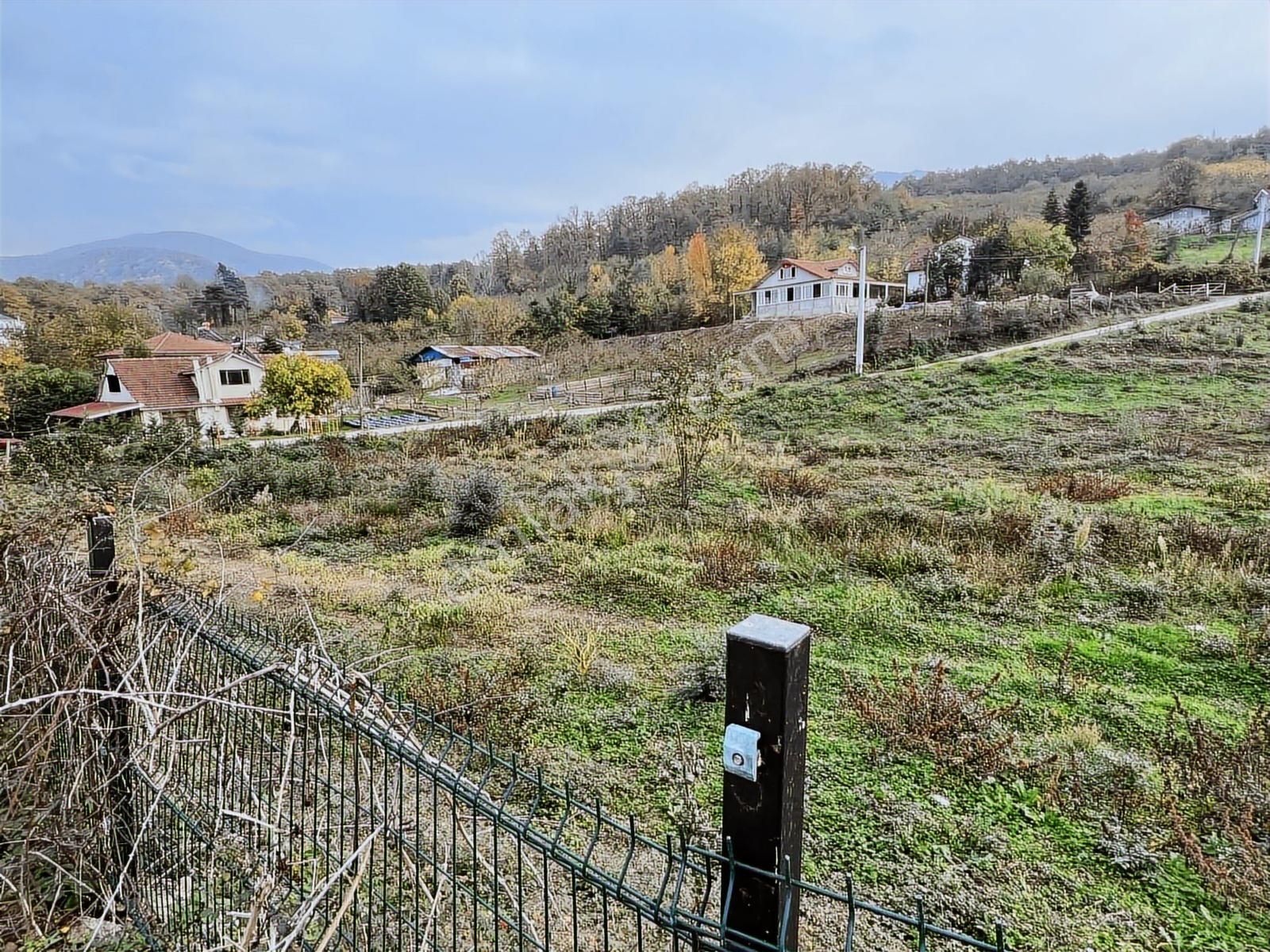 Ruşen Aydın Gyd'dan Düzce/kaledibi Köyünde Satılık Arsalar - Görsel 31