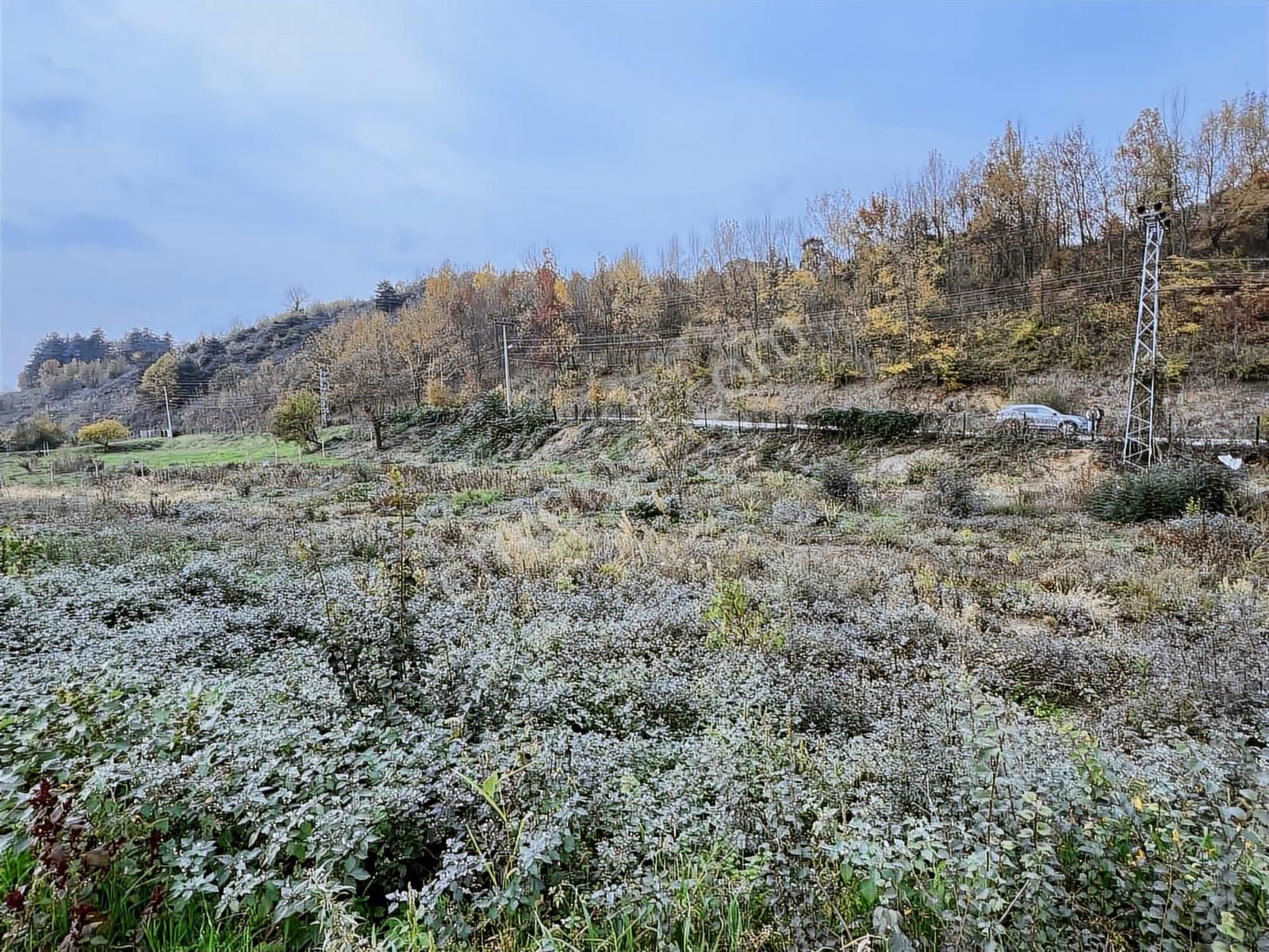 Ruşen Aydın Gyd'dan Düzce/kaledibi Köyünde Satılık Arsalar - Görsel 34