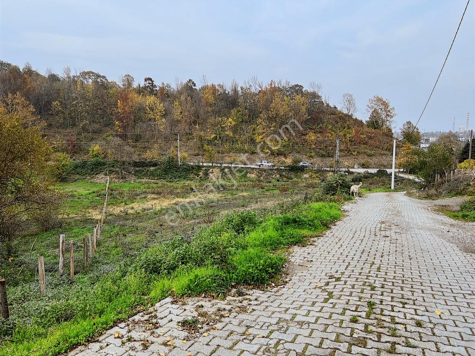 Ruşen Aydın Gyd'dan Düzce/kaledibi Köyünde Satılık Arsalar - Görsel 9