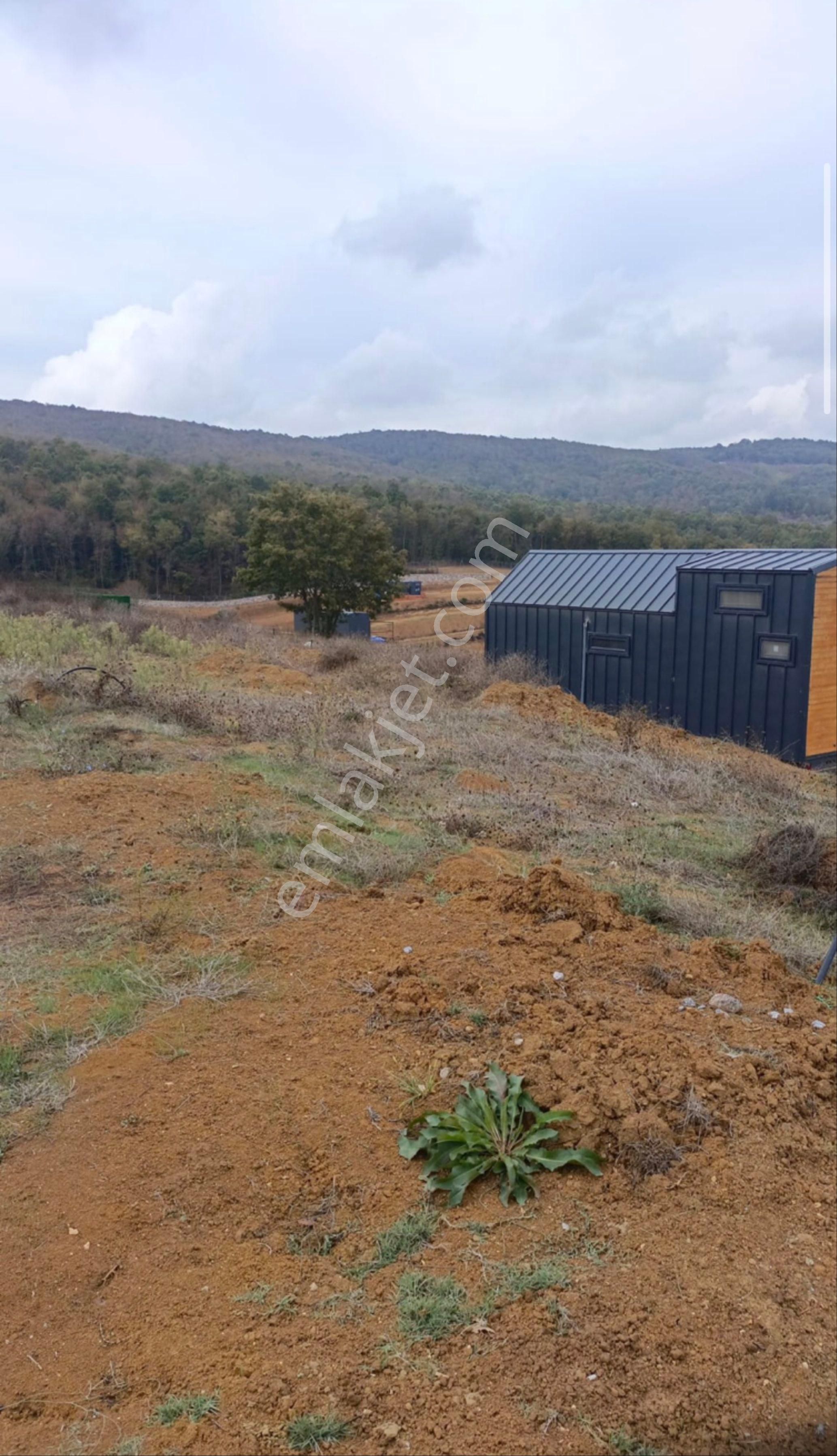 Tiny Houselik Arsa - Görsel 4