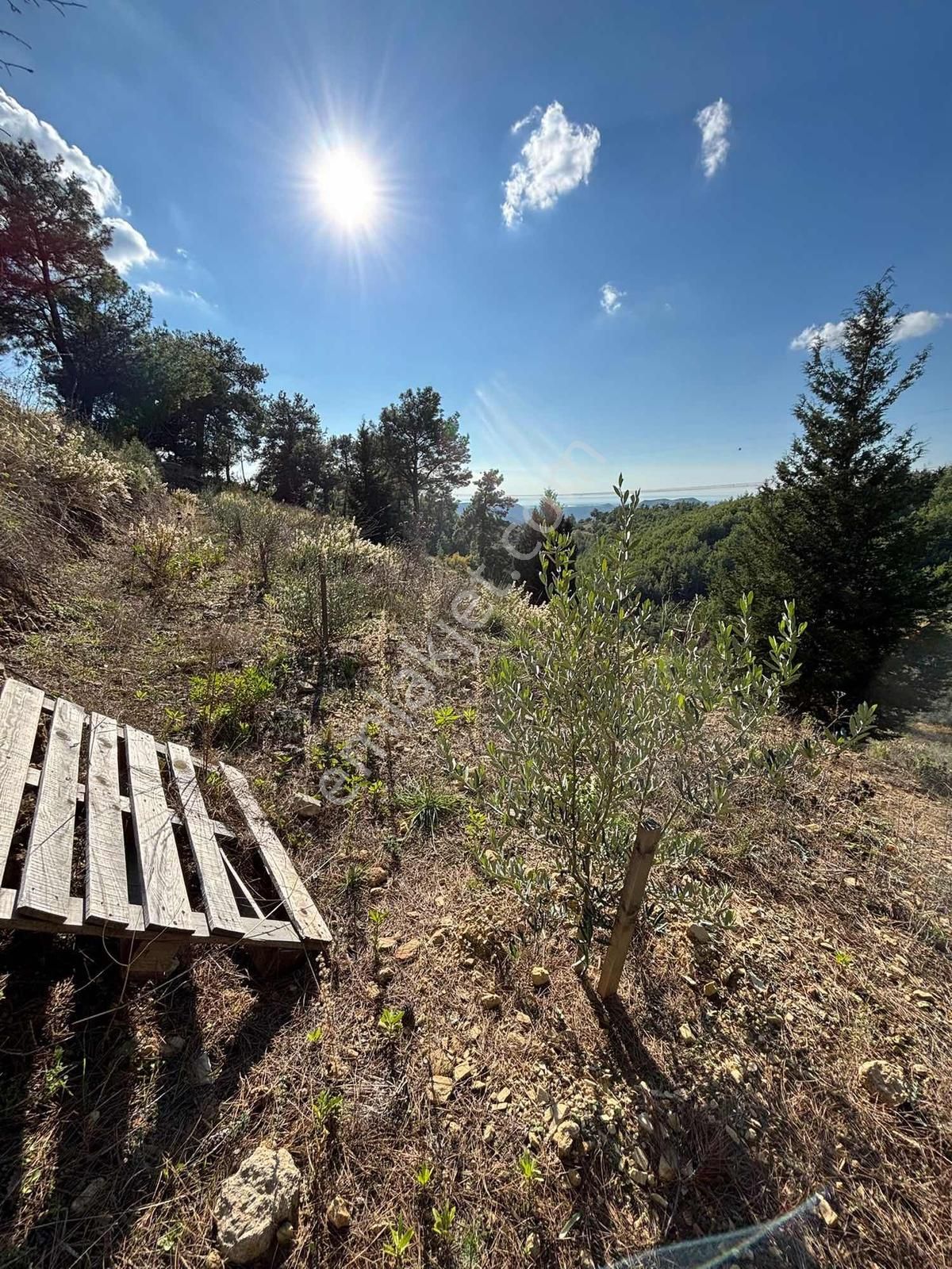 Acil İnfo Gayrimenkul Hocalı Mahallesi Satılık Tarla 4.941 M2 - Görsel 6