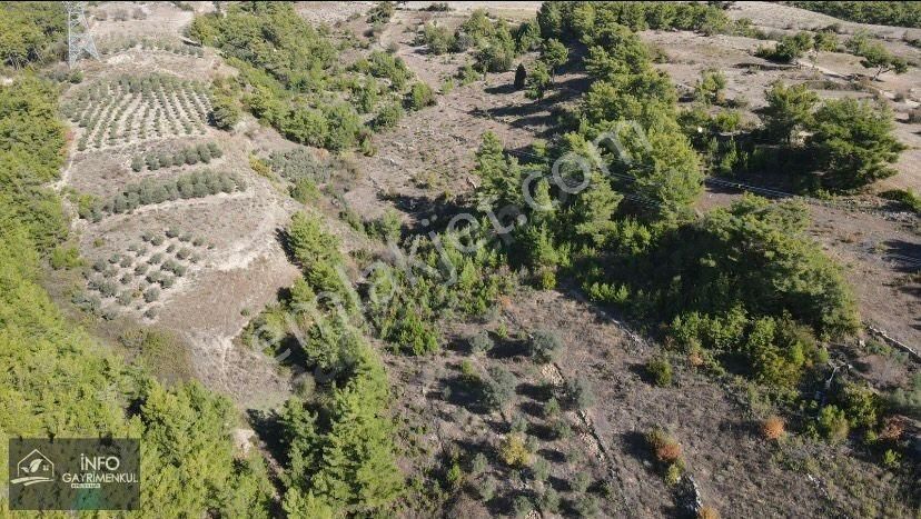 Acil İnfo Gayrimenkul Hocalı Mahallesi Satılık Tarla 4.941 M2 - Görsel 23