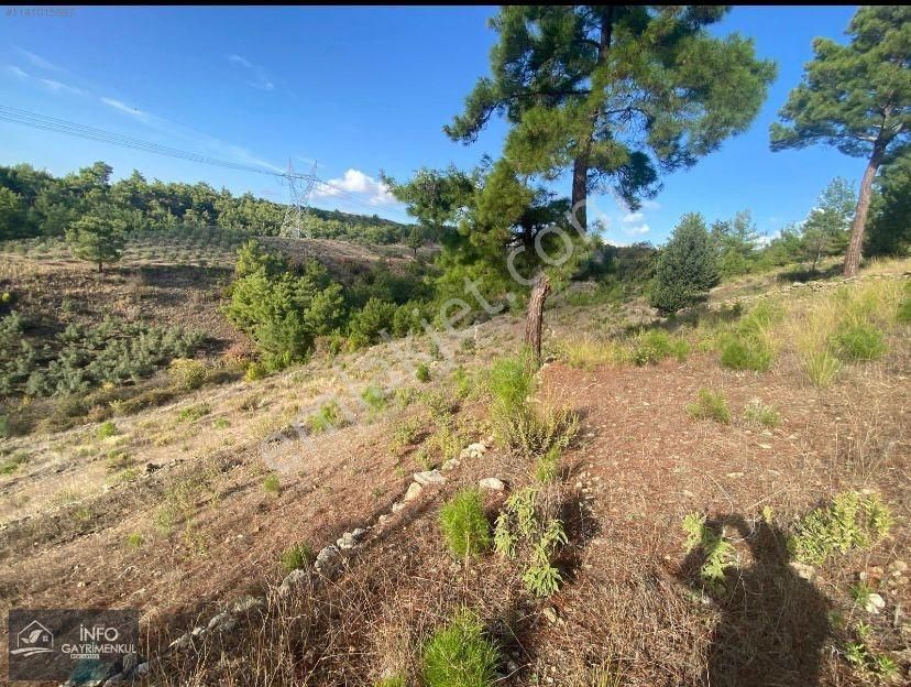 Acil İnfo Gayrimenkul Hocalı Mahallesi Satılık Tarla 4.941 M2 - Görsel 18