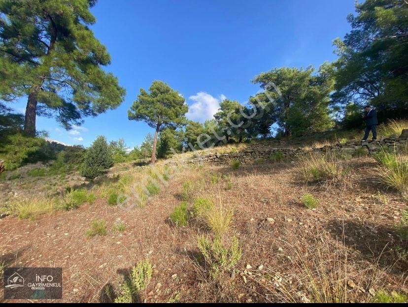 Acil İnfo Gayrimenkul Hocalı Mahallesi Satılık Tarla 4.941 M2 - Görsel 29