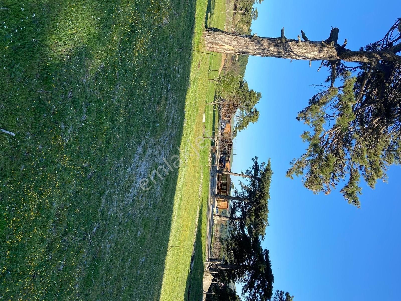 Oksijen Bombası Kazdağlarında Muhteşem 3 Adet Dağ Evi - Görsel 13