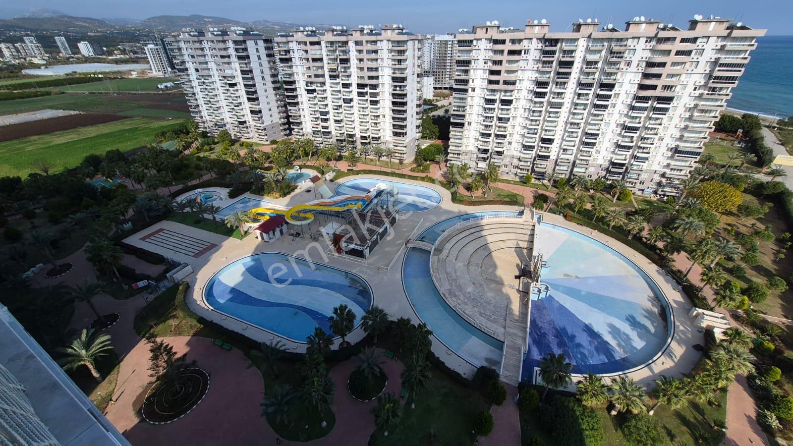Karınca'dan Çeşmeli Liparis Sunflowers 1 Gölge Kafa Blokta 2+1 - Görsel 28