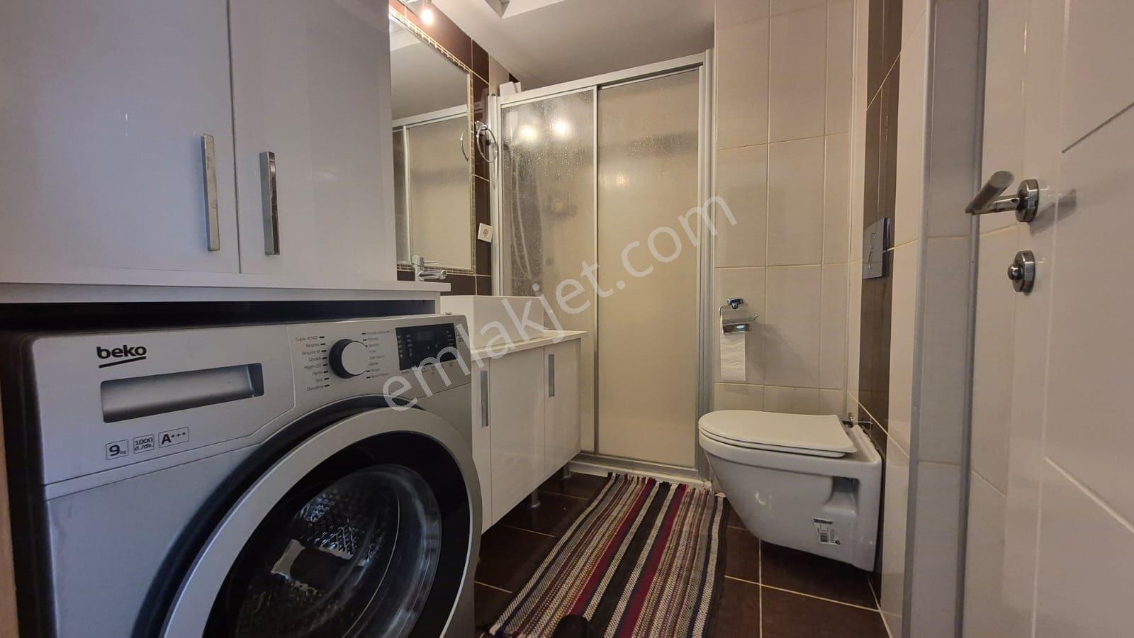 Karınca'dan Çeşmeli Liparis Sunflowers 1 Gölge Kafa Blokta 2+1 - Görsel 21