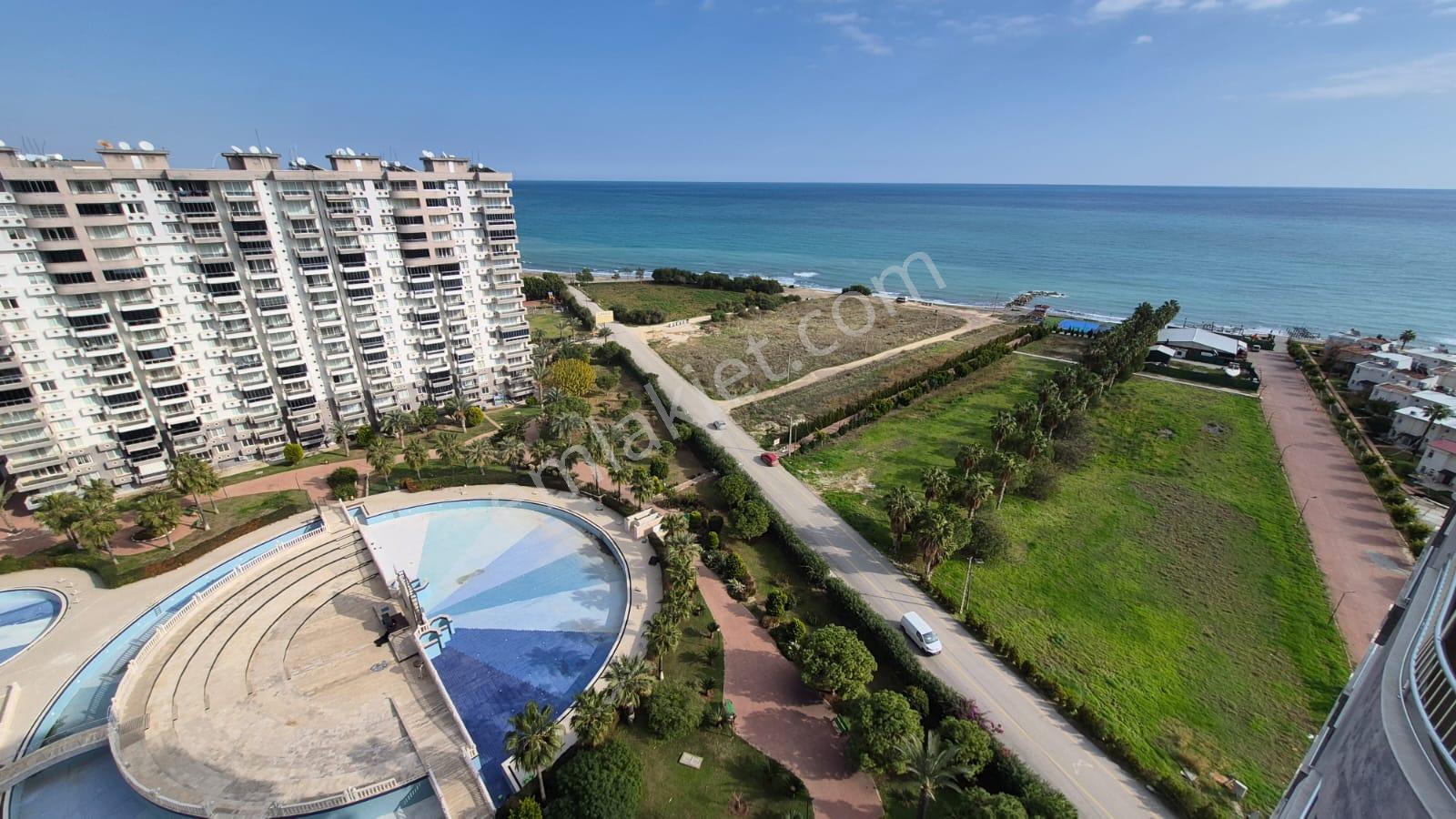 Karınca'dan Çeşmeli Liparis Sunflowers 1 Gölge Kafa Blokta 2+1 - Görsel 29
