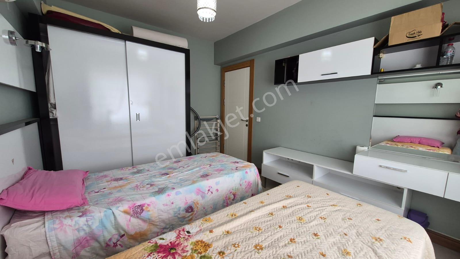 Karınca'dan Çeşmeli Liparis Sunflowers 1 Gölge Kafa Blokta 2+1 - Görsel 17