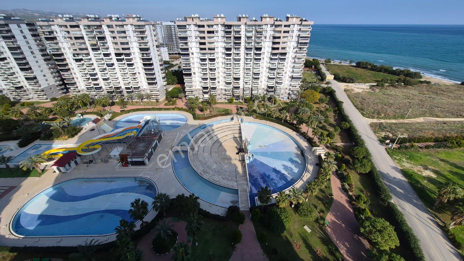 Karınca'dan Çeşmeli Liparis Sunflowers 1 Gölge Kafa Blokta 2+1 - Görsel 32