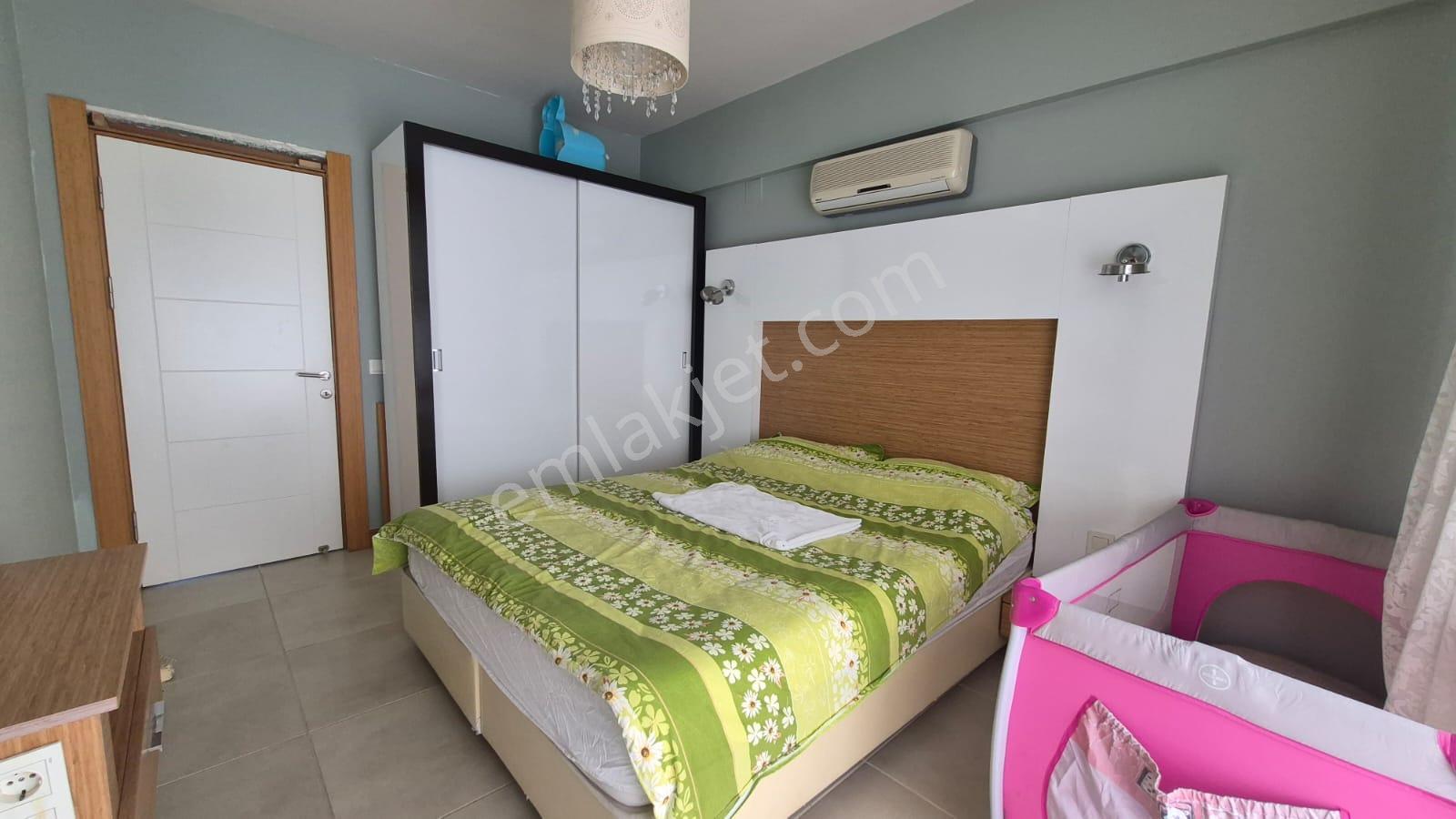 Karınca'dan Çeşmeli Liparis Sunflowers 1 Gölge Kafa Blokta 2+1 - Görsel 12