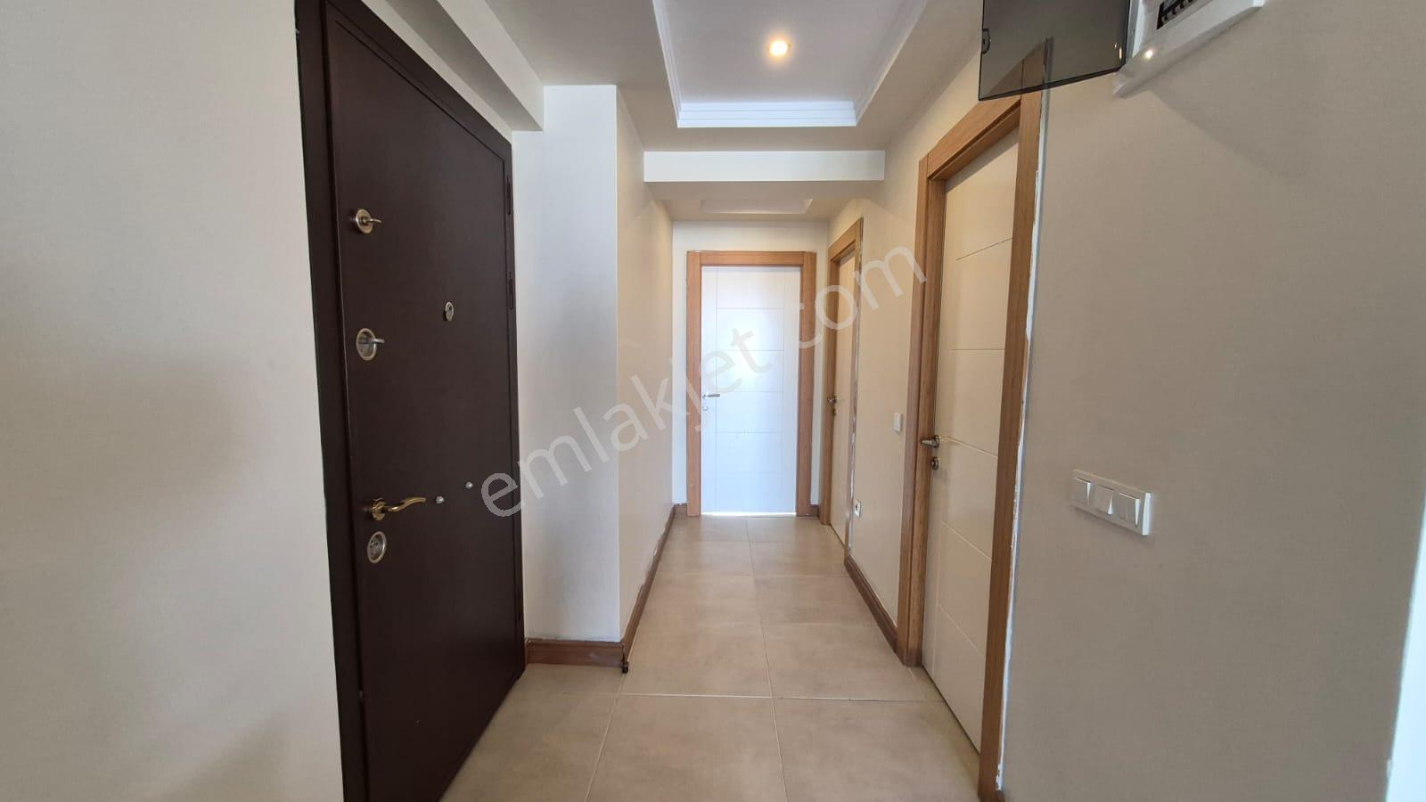 Karınca'dan Çeşmeli Liparis Sunflowers 1 Gölge Kafa Blokta 2+1 - Görsel 15