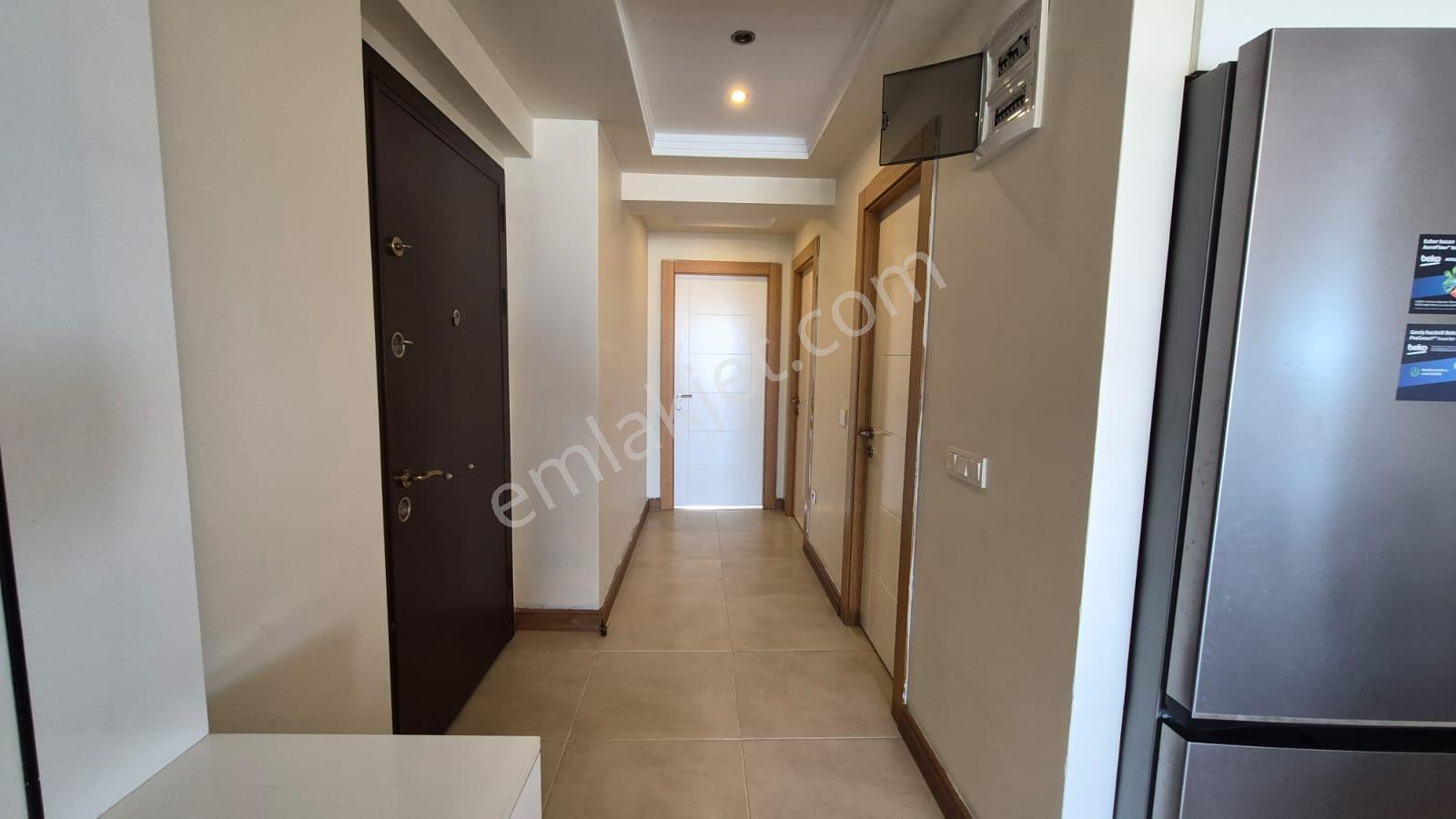 Karınca'dan Çeşmeli Liparis Sunflowers 1 Gölge Kafa Blokta 2+1 - Görsel 19