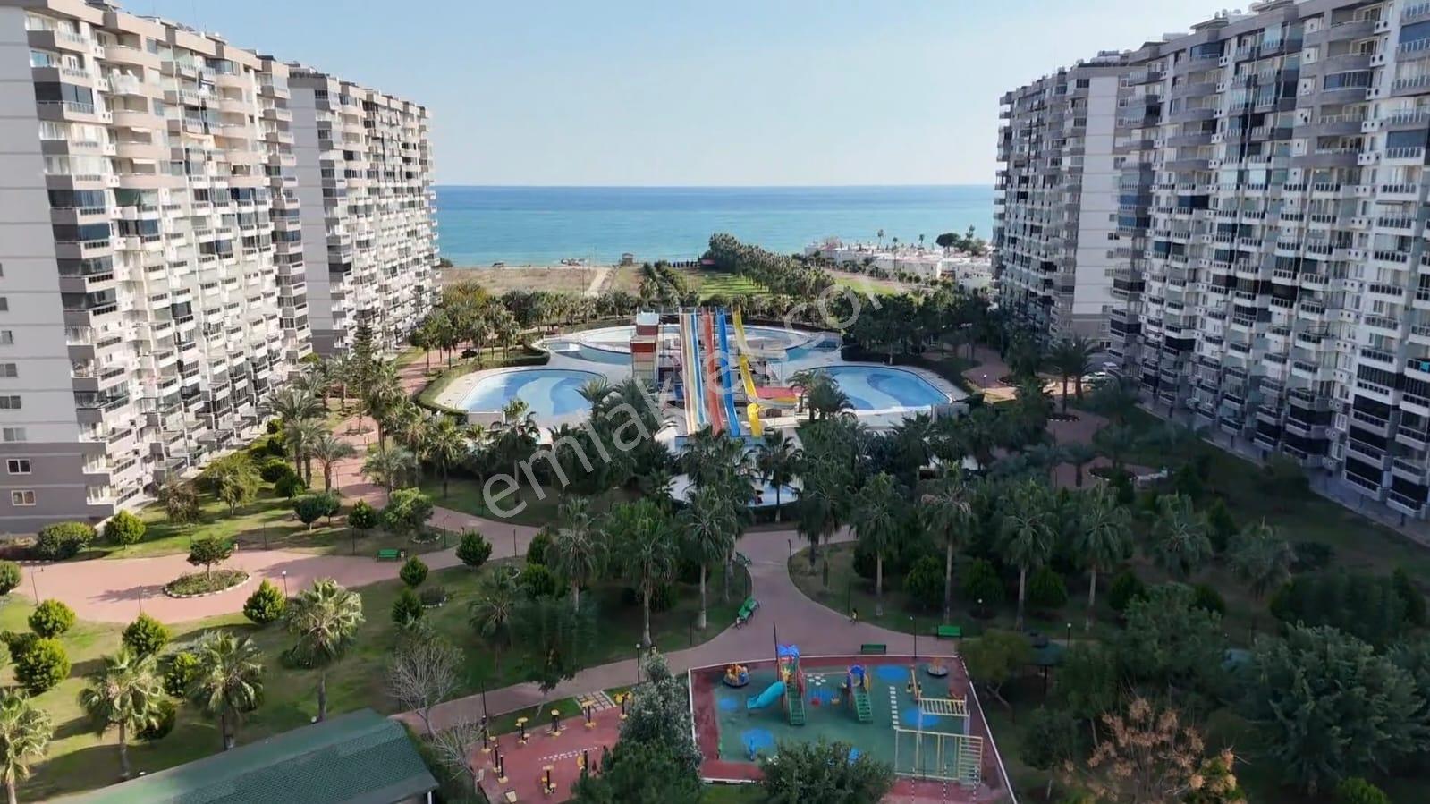 Karınca'dan Çeşmeli Liparis Sunflowers 1 Gölge Kafa Blokta 2+1 - Görsel 2