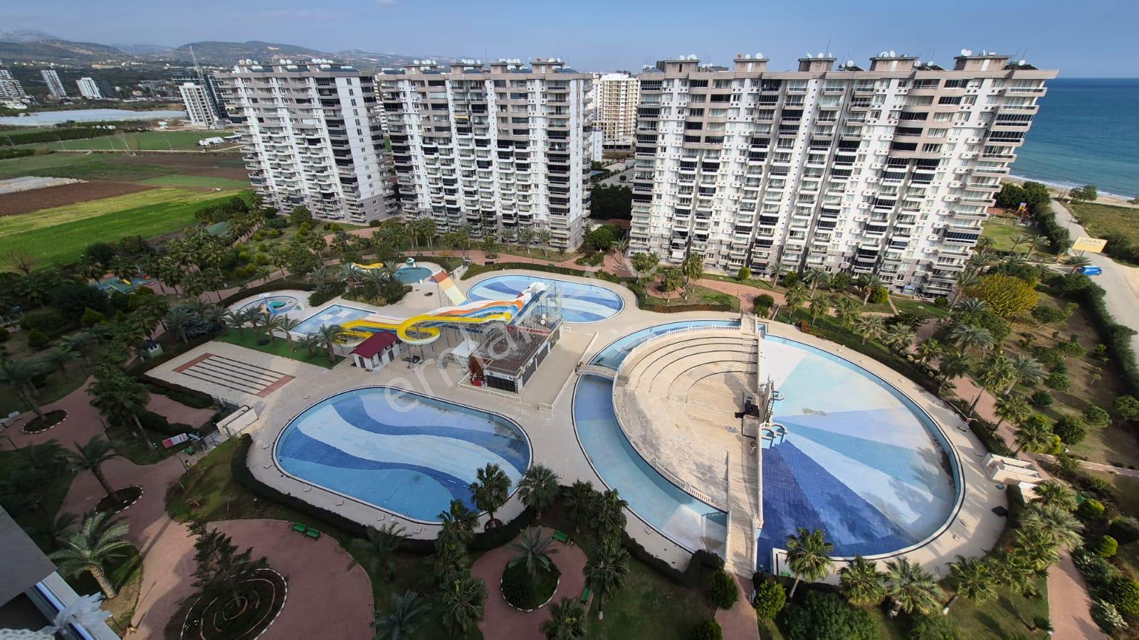 Karınca'dan Çeşmeli Liparis Sunflowers 1 Gölge Kafa Blokta 2+1 - Görsel 31