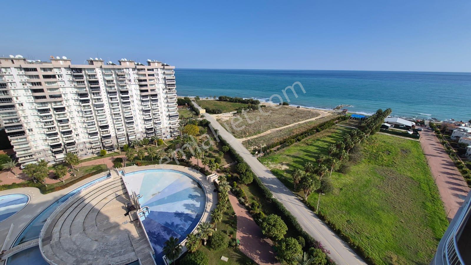 Karınca'dan Çeşmeli Liparis Sunflowers 1 Gölge Kafa Blokta 2+1 - Görsel 25