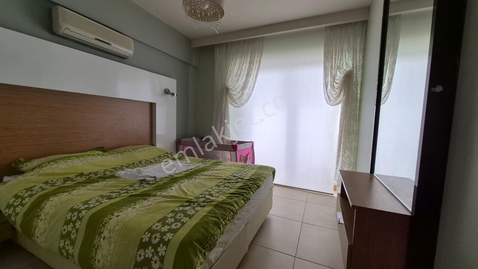 Karınca'dan Çeşmeli Liparis Sunflowers 1 Gölge Kafa Blokta 2+1 - Görsel 11