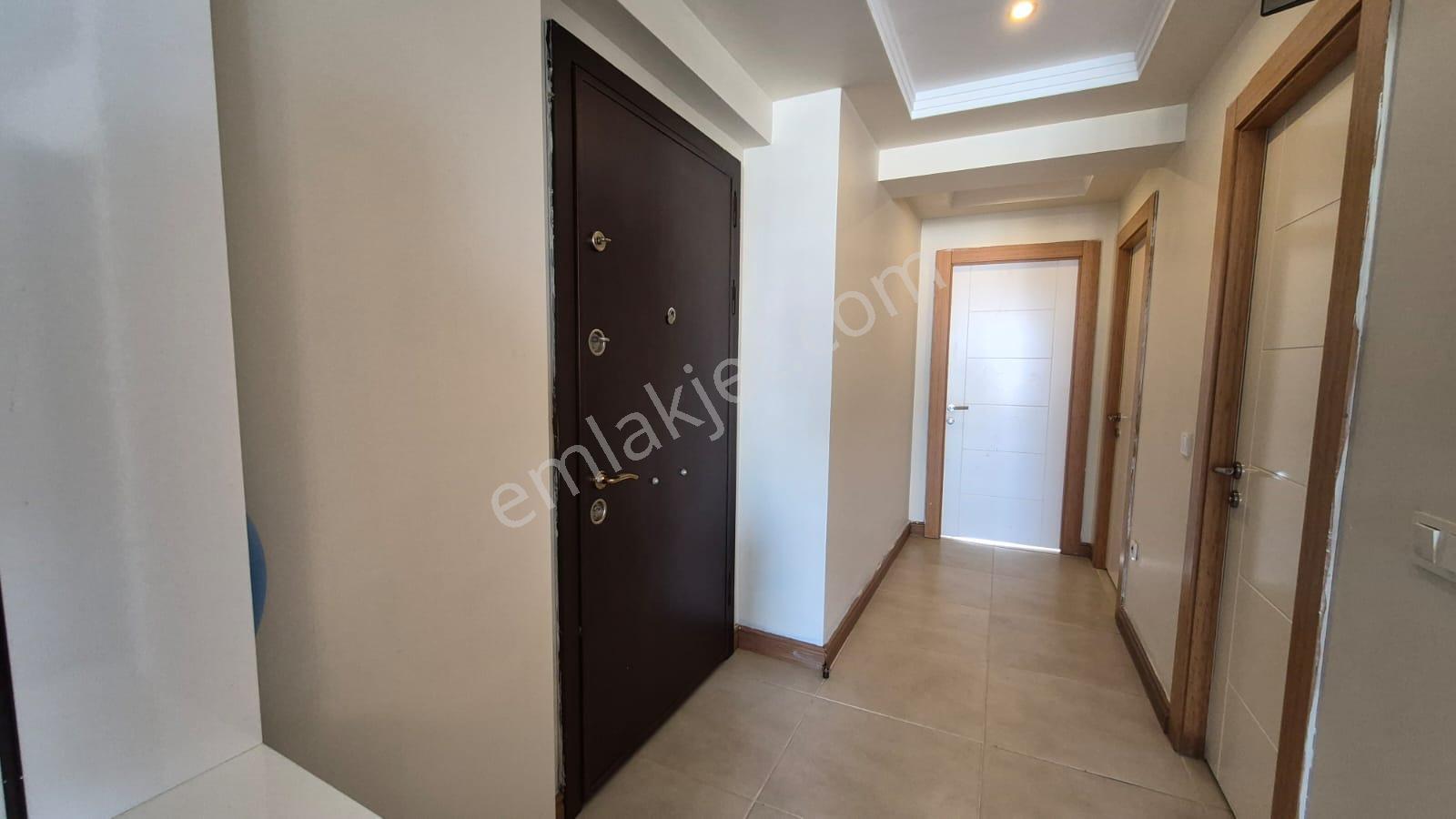 Karınca'dan Çeşmeli Liparis Sunflowers 1 Gölge Kafa Blokta 2+1 - Görsel 33