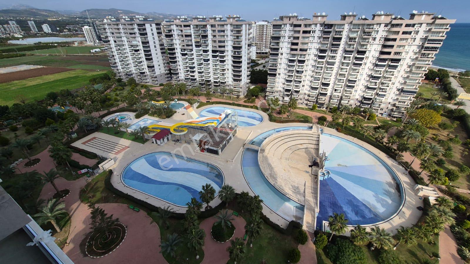 Karınca'dan Çeşmeli Liparis Sunflowers 1 Gölge Kafa Blokta 2+1 - Görsel 30