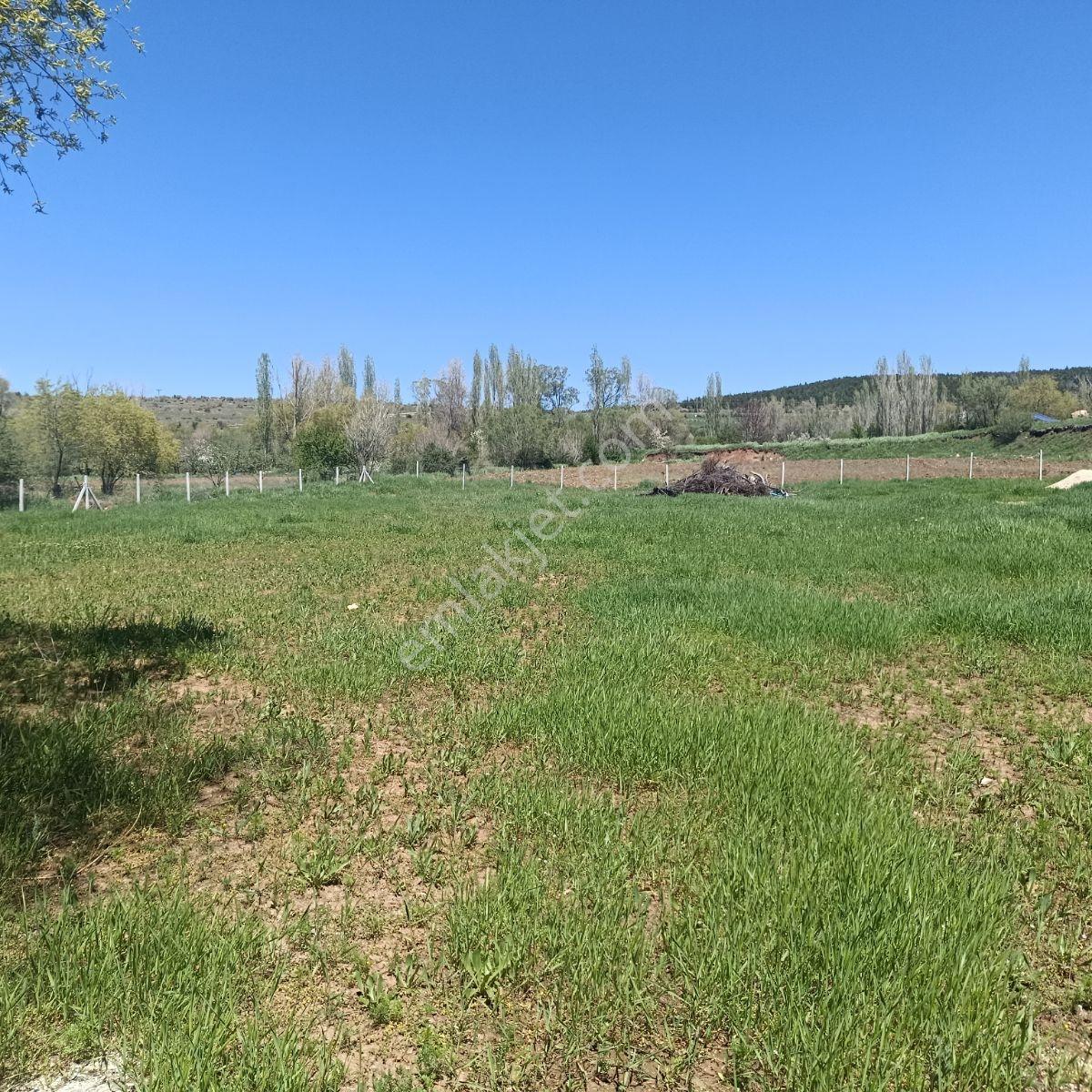Derbentli Gayrimenkul'den Satılık 3100 M2 Bahçe