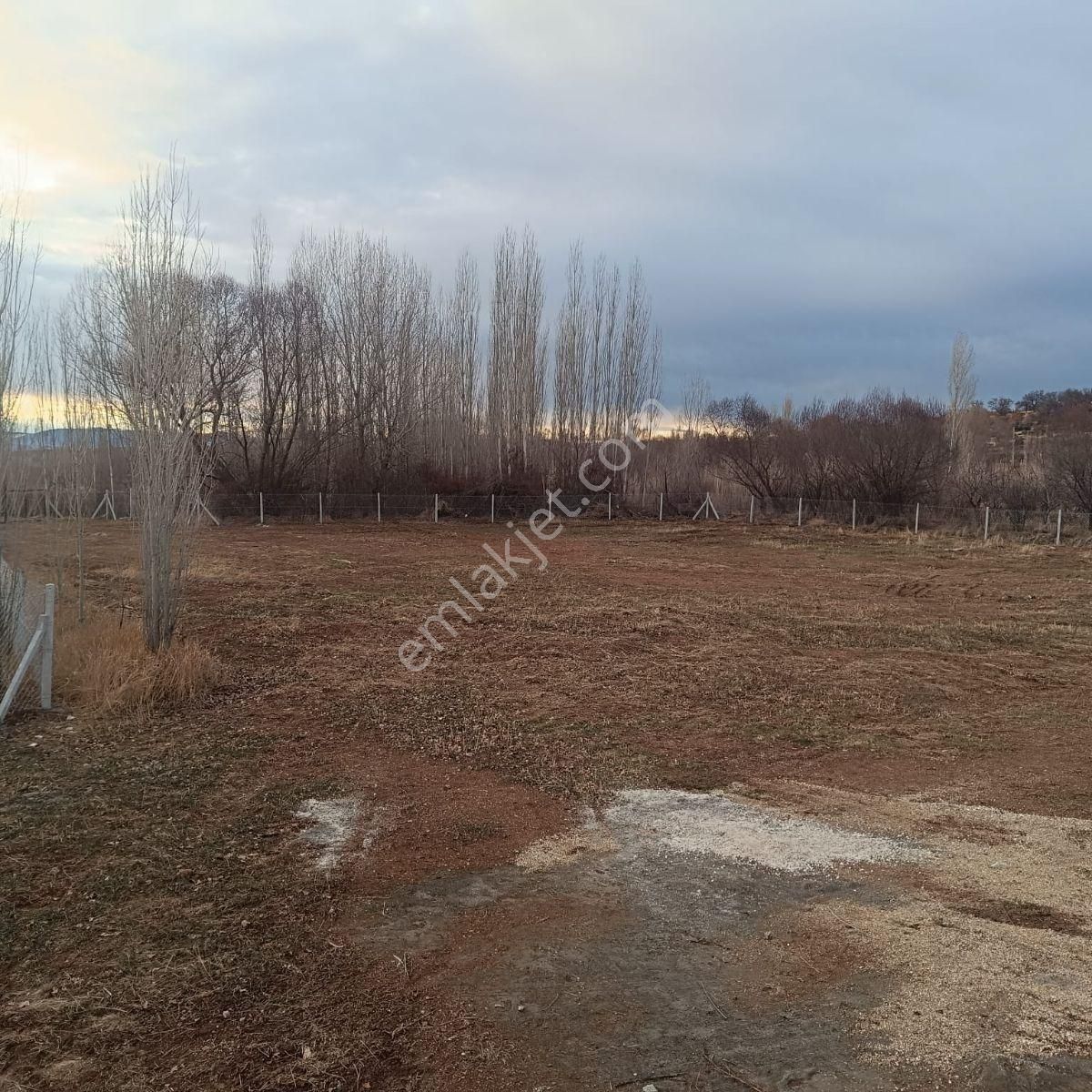 Derbentli Gayrimenkul'den Satılık 3100 M2 Bahçe - Görsel 3
