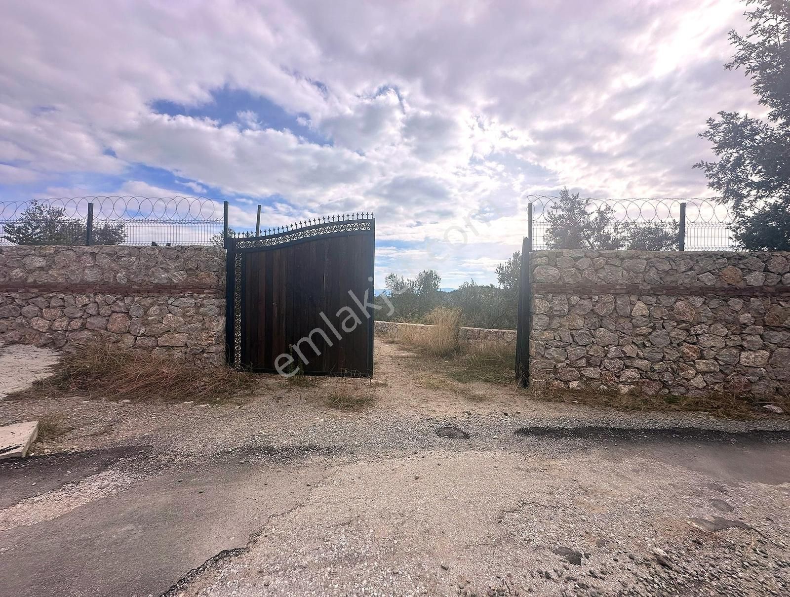 Çamlıbel Köyünde Satılık Deniz Manzaralı Zeytinlik - Görsel 27